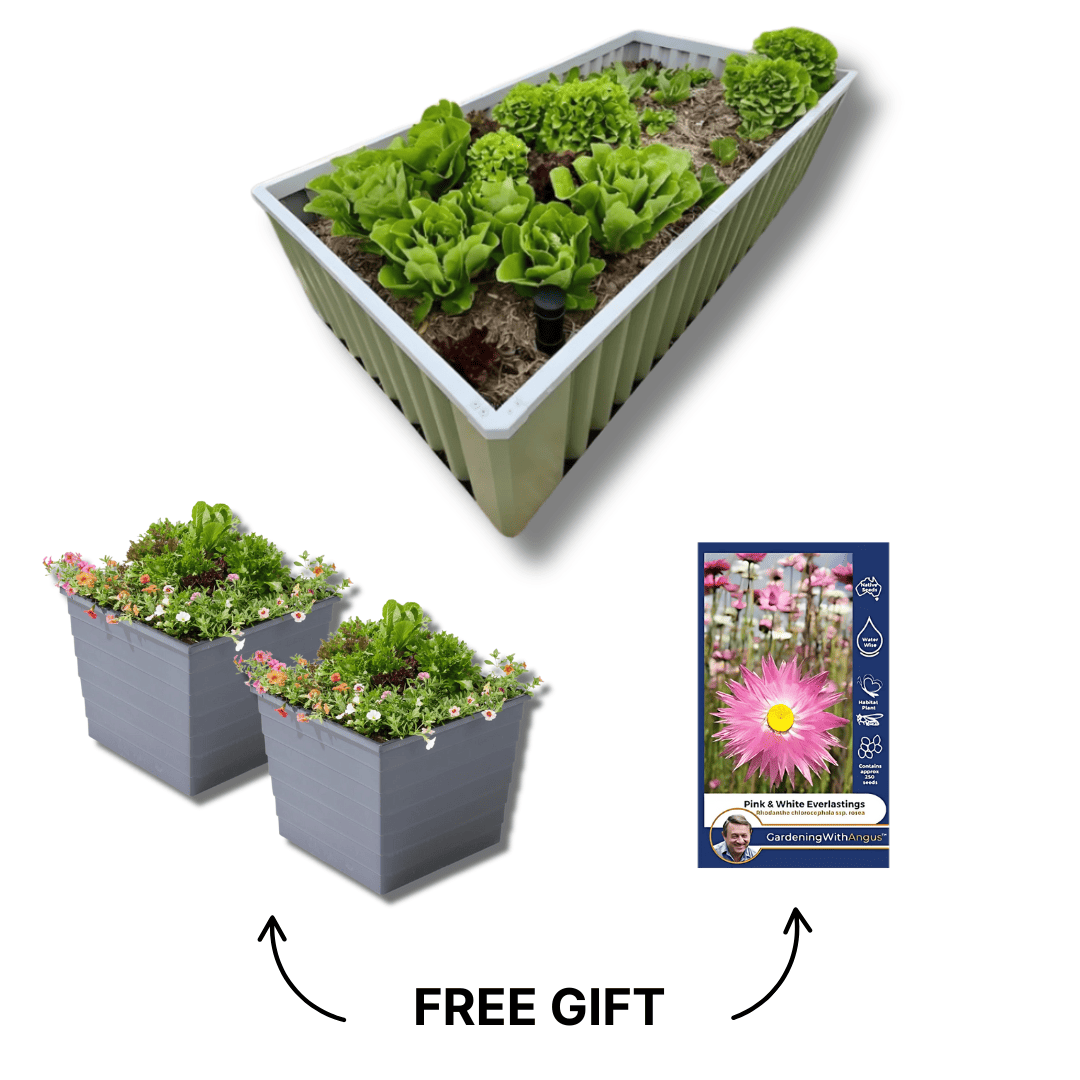 The Ultimate Spring Garden Bundle
