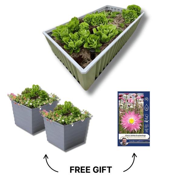 The Ultimate Spring Garden Bundle