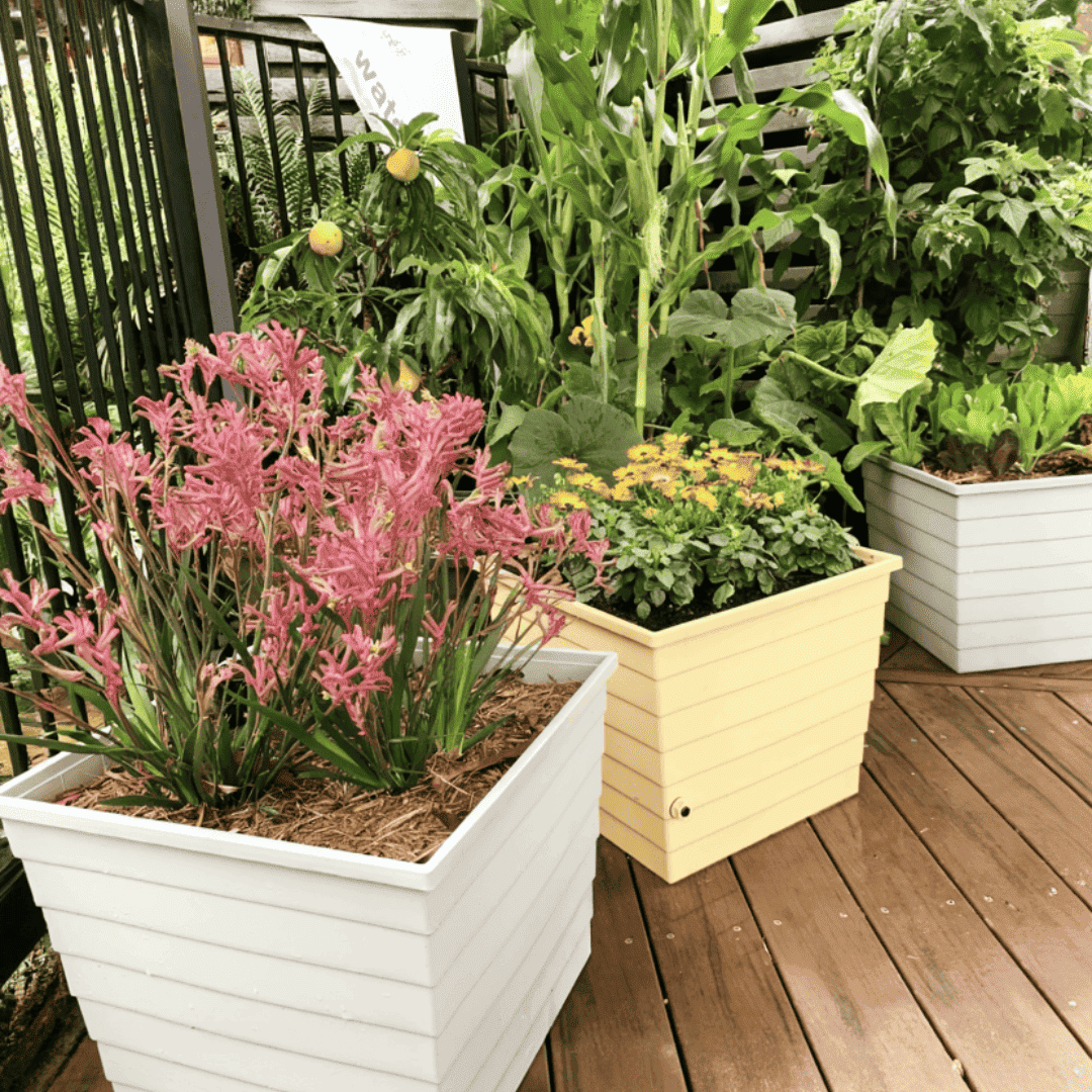 The Ultimate Spring Garden Bundle