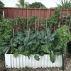 The Ultimate Spring Garden Bundle