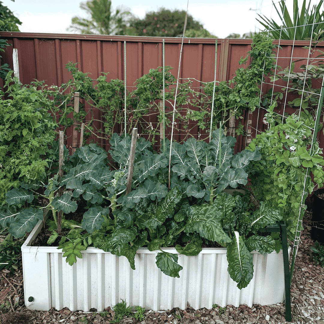 The Ultimate Spring Garden Bundle
