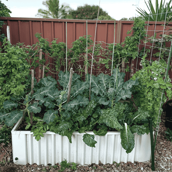 The Ultimate Spring Garden Bundle