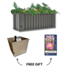 Spring Starter Bundle