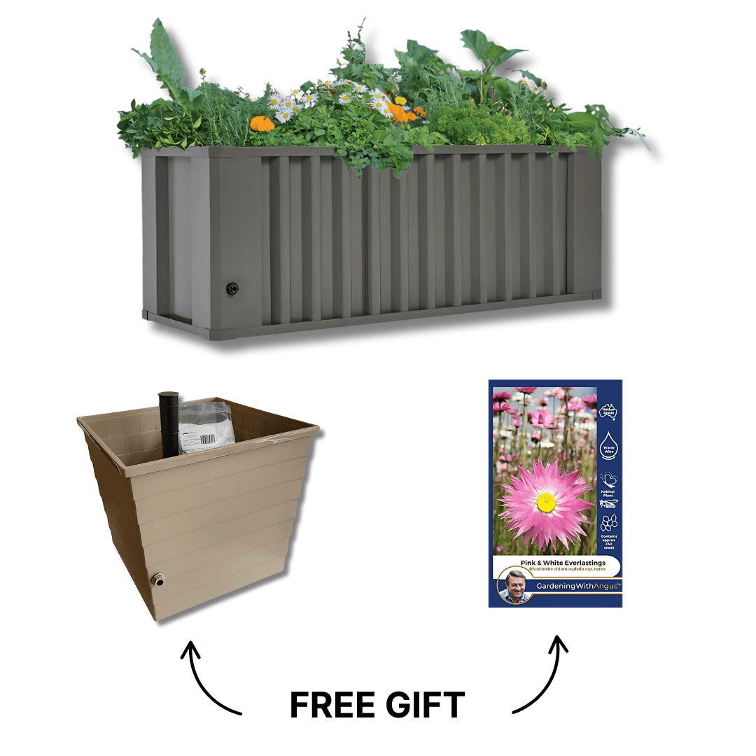 Spring Starter Bundle