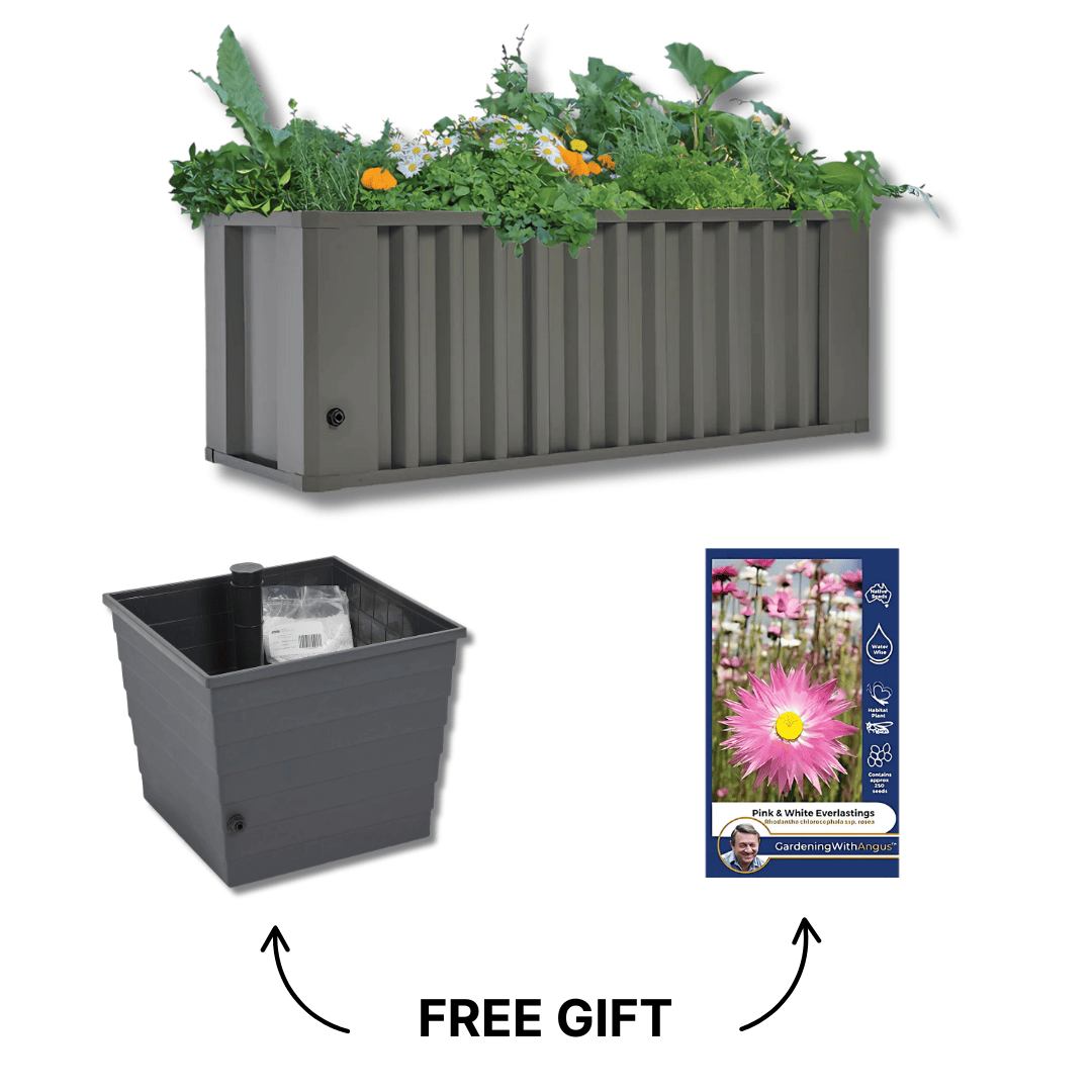 Spring Starter Bundle