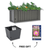 Spring Starter Bundle