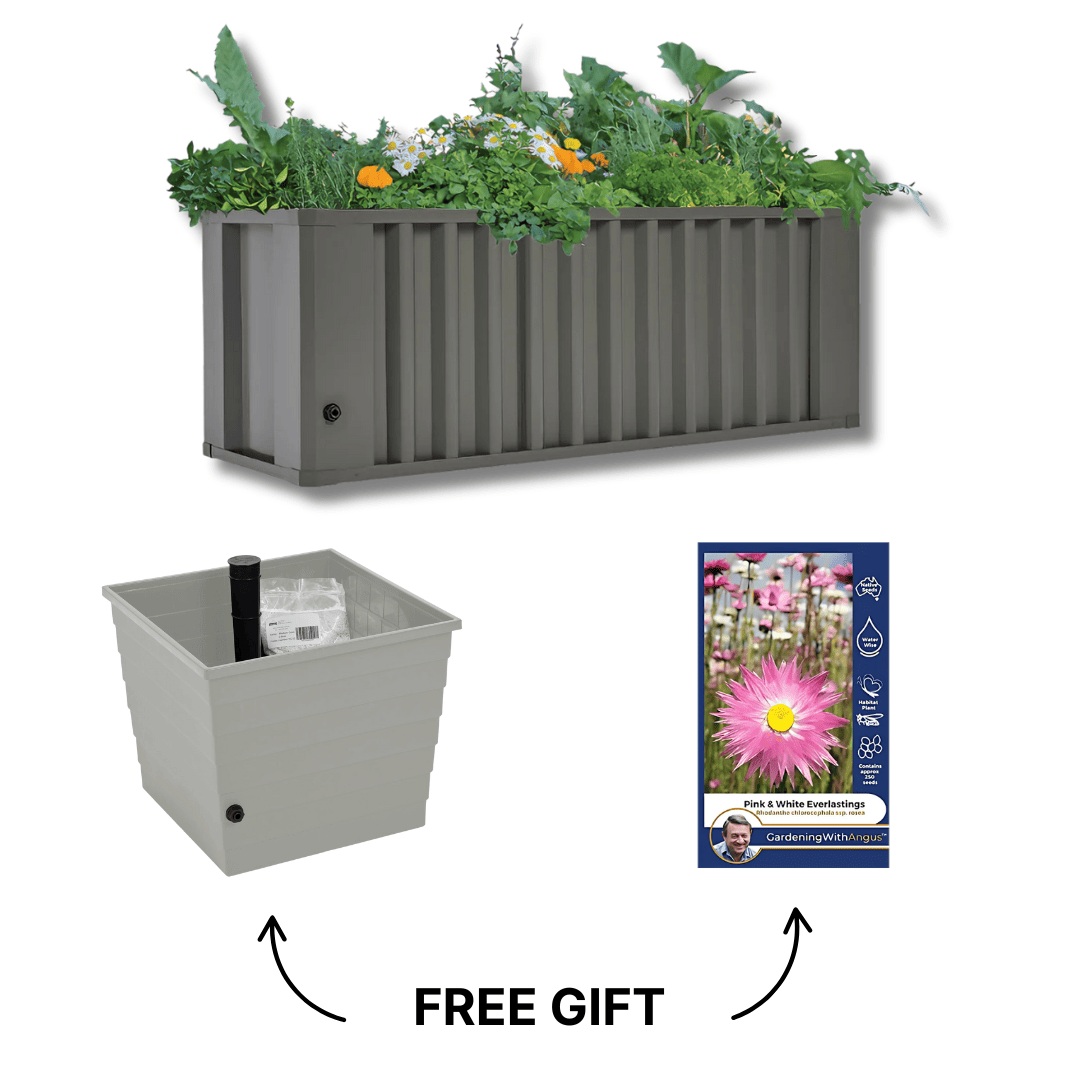 Spring Starter Bundle