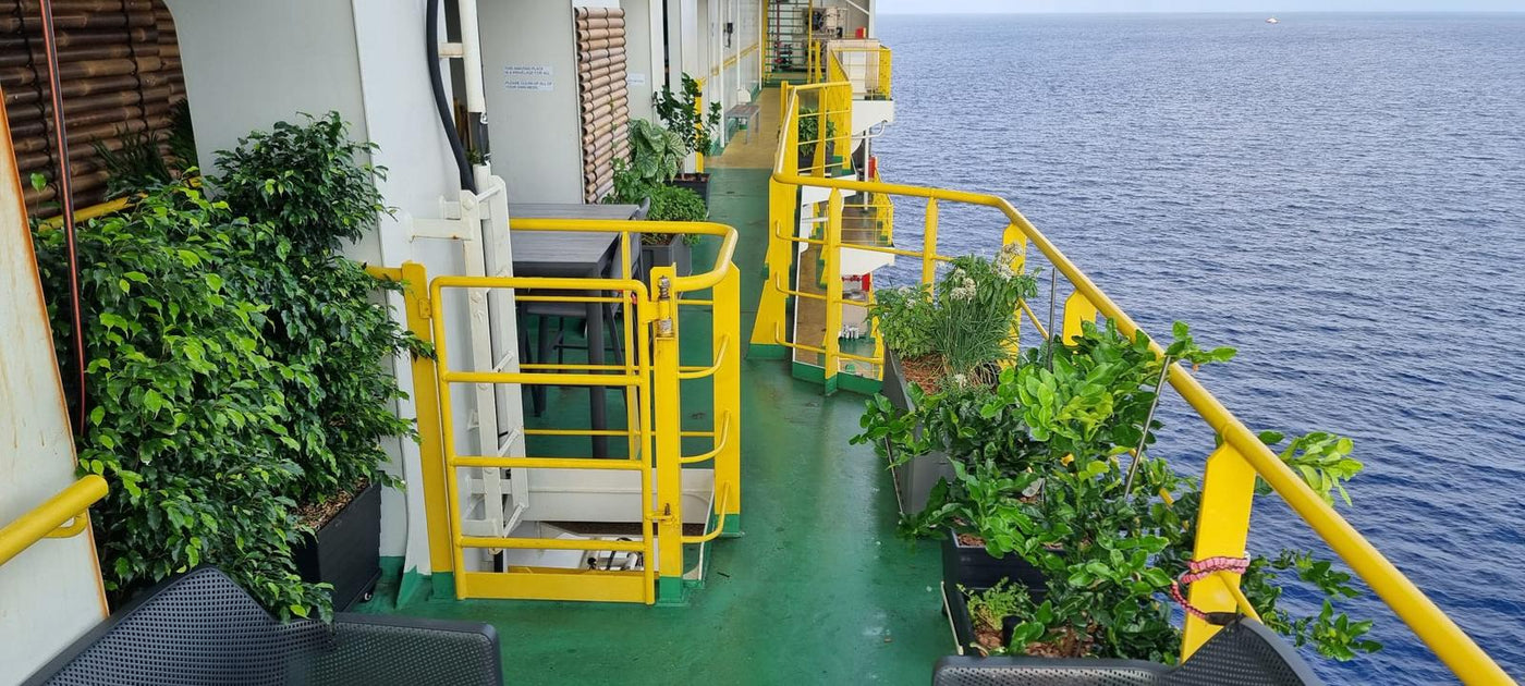 WaterUps planter installation on working oil rig. Designed to introduce green spaces in an inhospitable environment and grow fresh produce.