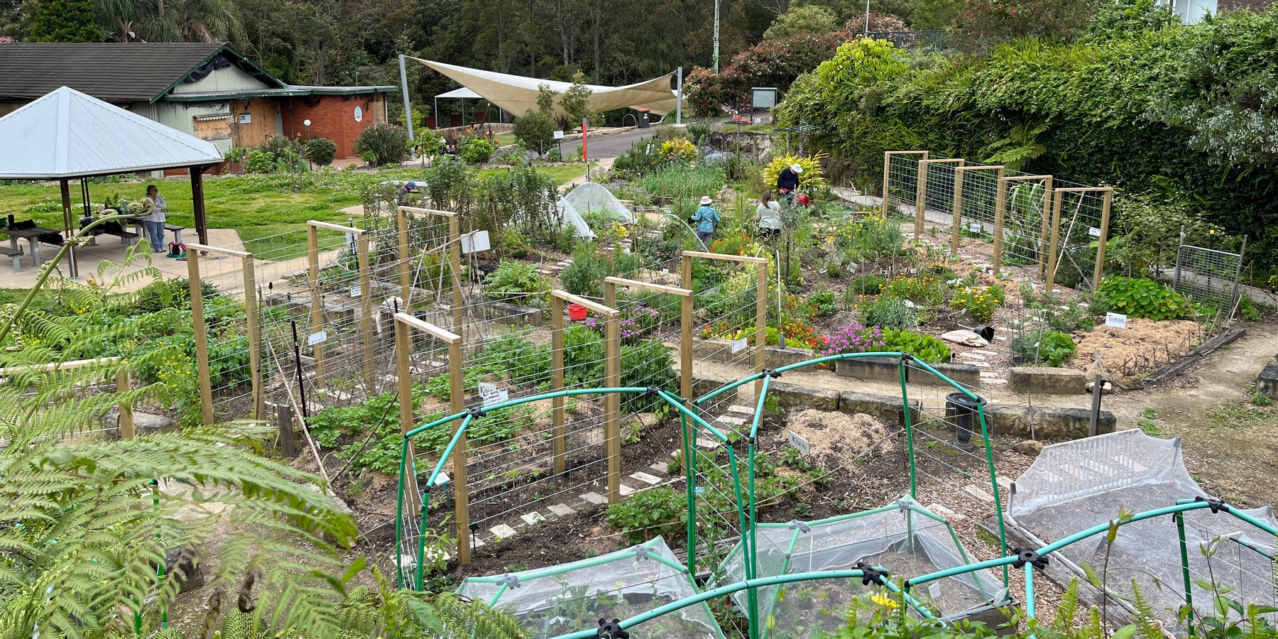 Community Gardens
