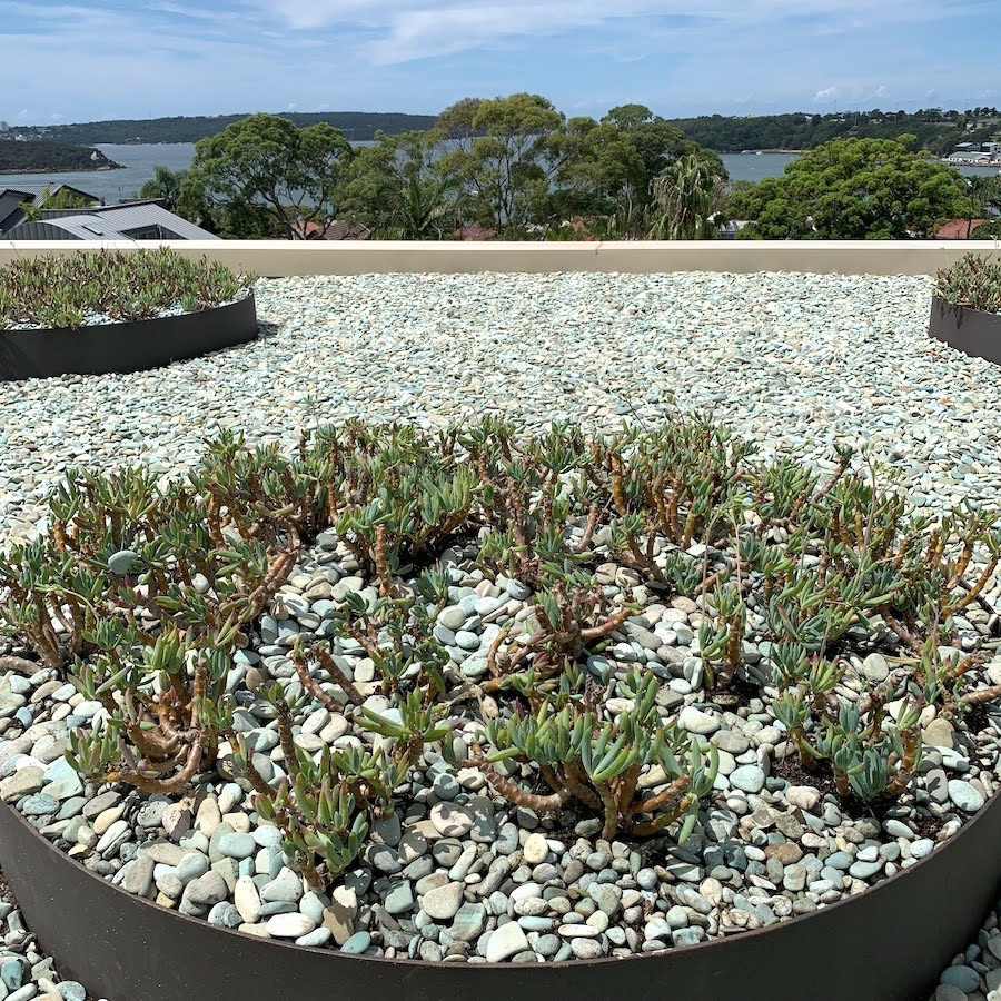 Balmoral Roof Garden