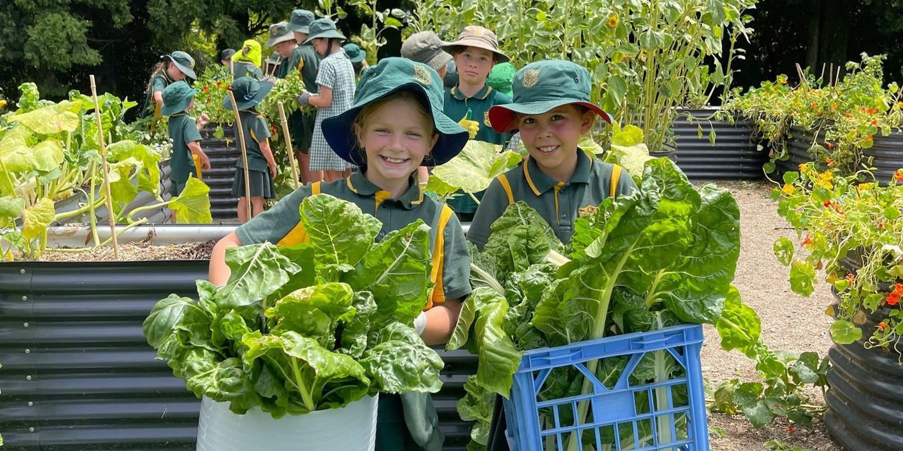 Food Gardens for Our School Children