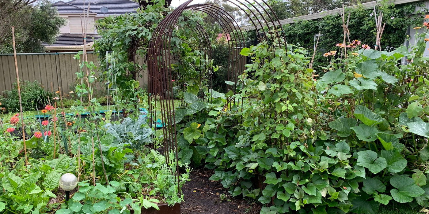 Home Gardens and Apartment Living