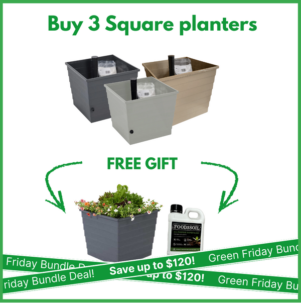 Green Friday Square Planter Bundle