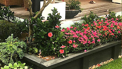 WaterUps Creative Home Gardens