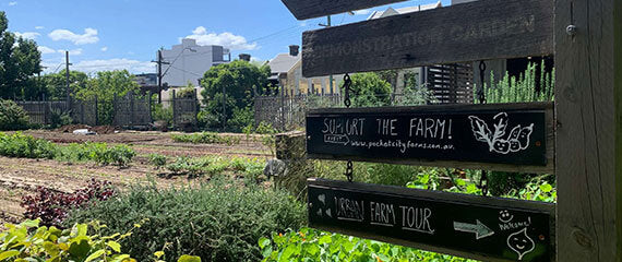 Horticulture WaterUps Pocket City Farms