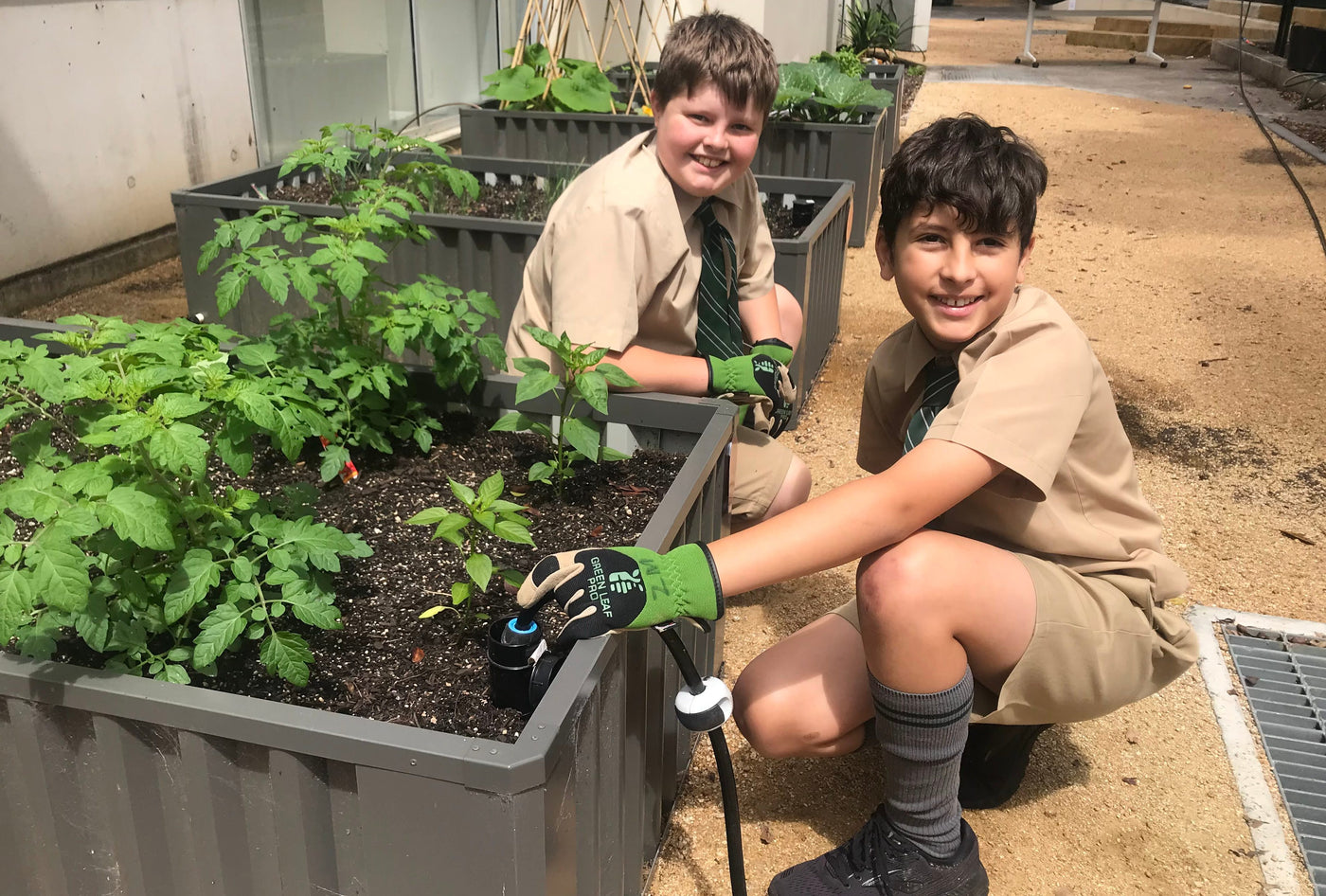WaterUps Oasis wicking beds at Trinity Grammar School