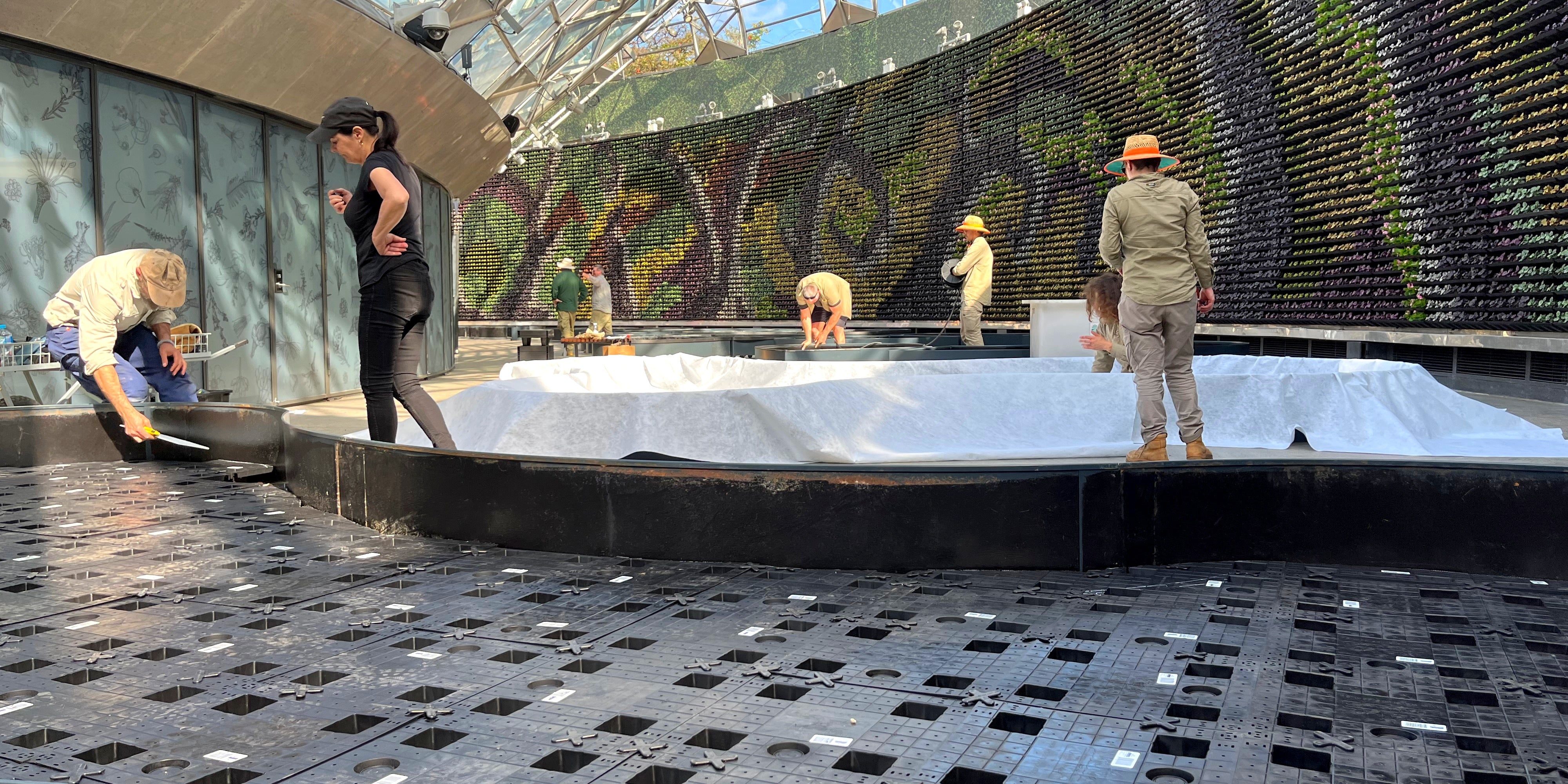 WaterUps Install at The Calyx Sydney Royal Botanical Gardens