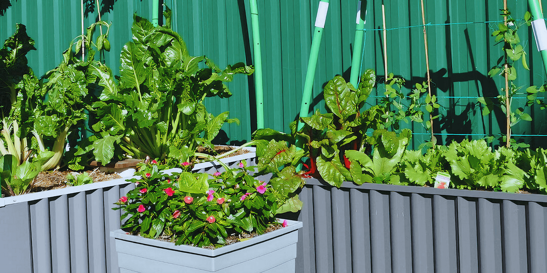 Wicking beds