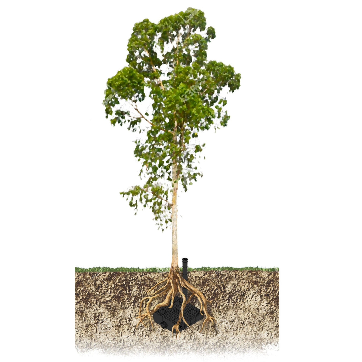 WaterUps Sub-Irrigation Channel with Tree