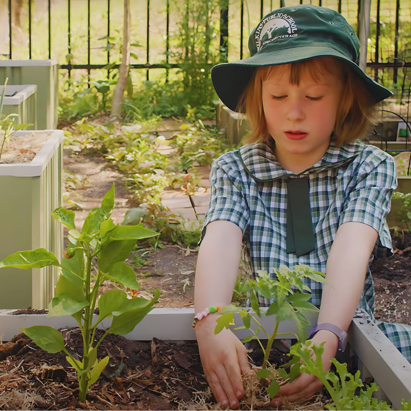 Discover the Joy of Gardening with WaterUps
