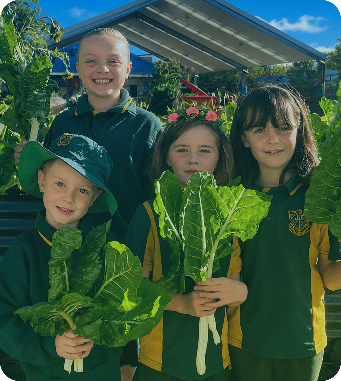Trinity Grammar School