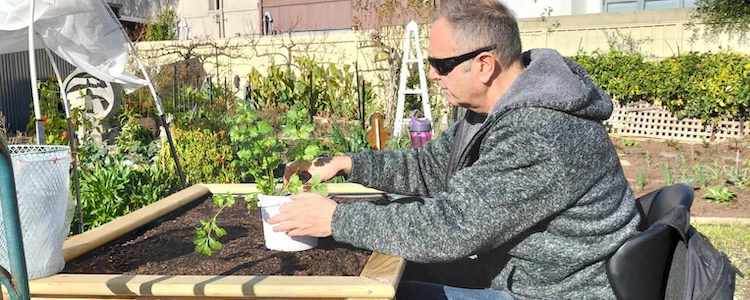Gardening therapy and raising your WaterUps® Wicking Bed