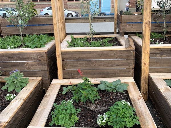 Food security and wicking beds