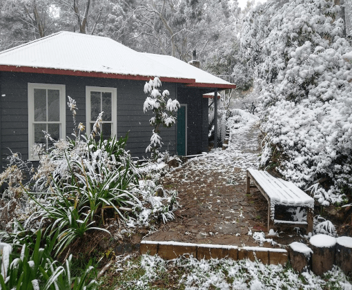 The Challenges of Winter Gardening