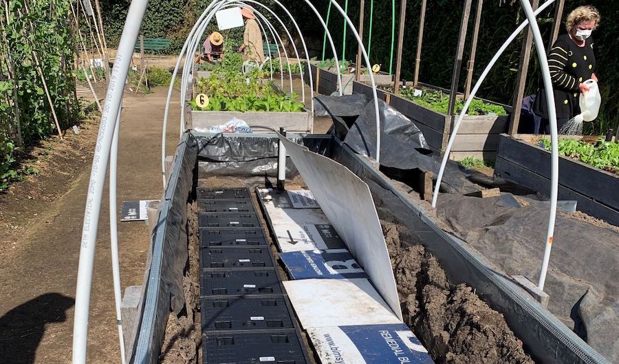 Watering a community garden is easy if WaterUps wicking cells are installed