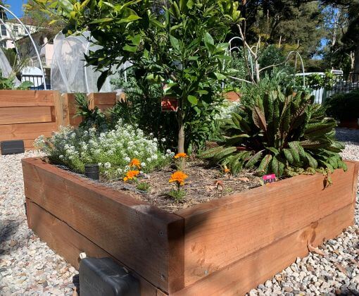 Setting up a community garden