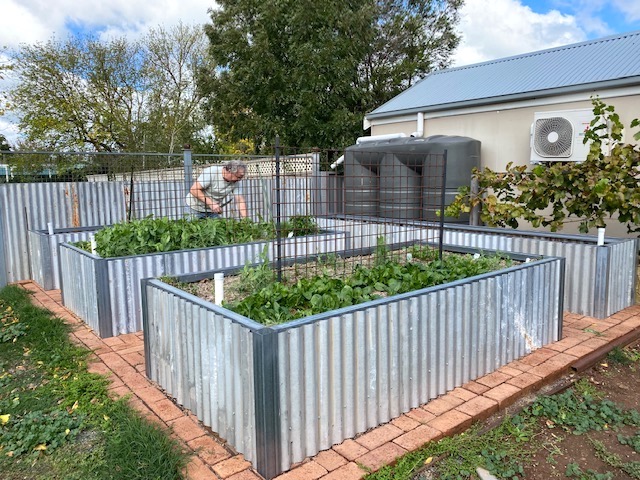 Corrugated Iron Raised Garden Beds featuring WaterUps Wicking technology in to grow healthier plants