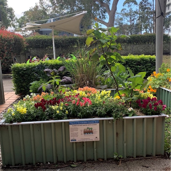 WaterUps Colorbond Wicking Beds add longer flowering colour to Canberra gardens