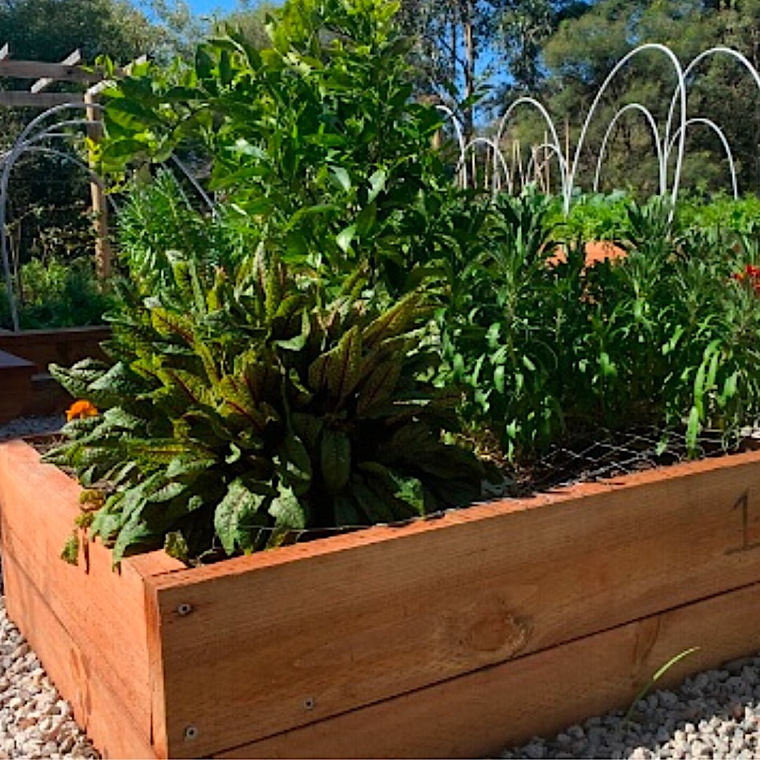 For quality Wicking Beds in Melbourne choose WaterUps