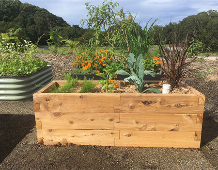 Timber Raised Garden Beds featuring WaterUps Wicking technology to save on watering