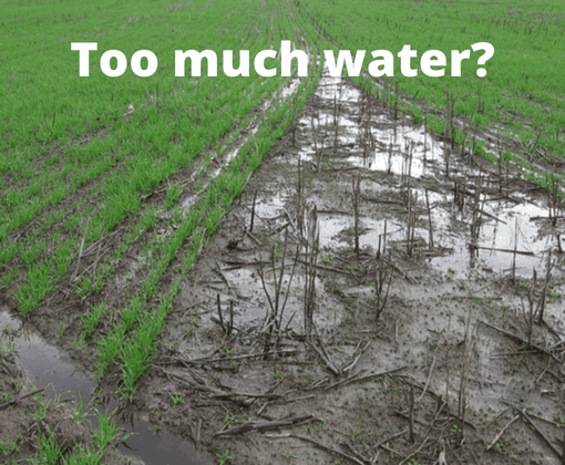 Soil water, La Nina and WaterUps