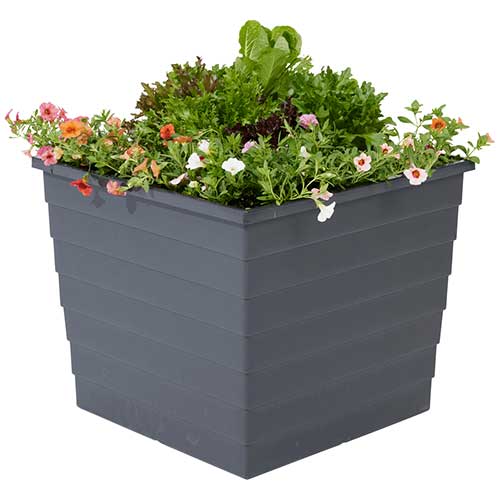 WaterUps Square Planter with plants
