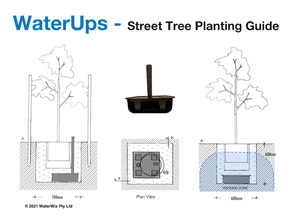 Urban Greening Street Tree Planting guide using WaterUps Wicking system