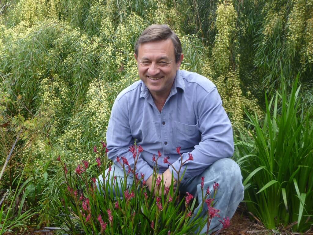 Angus Stewart used WaterUps to grow his Kangaroo Paw breeding stock