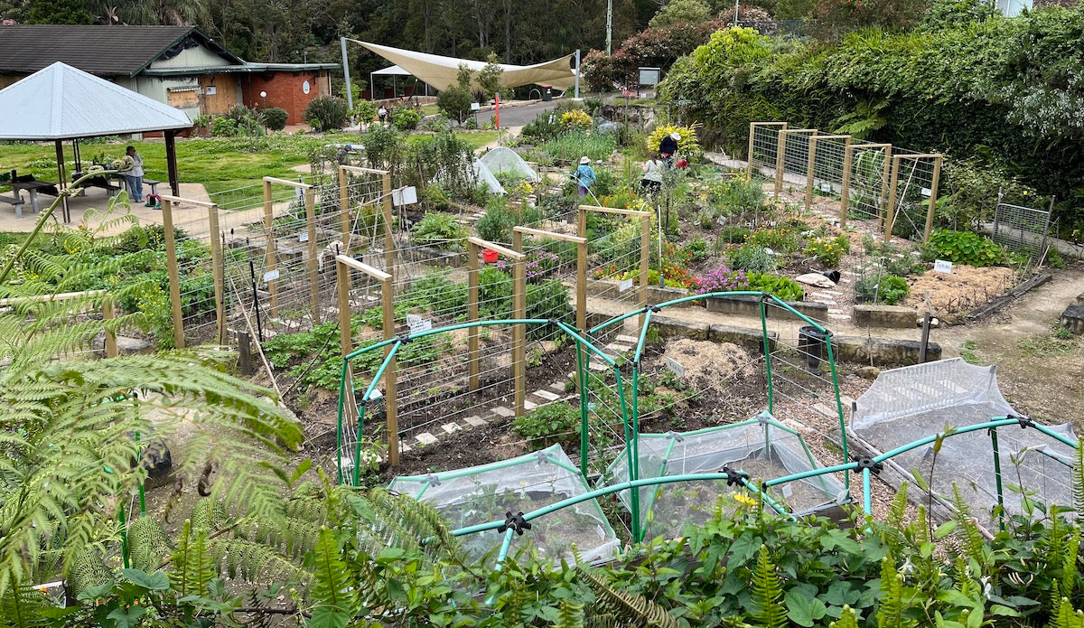 Cutting Watering time with WaterUps retrofitted to community gardens food gardens