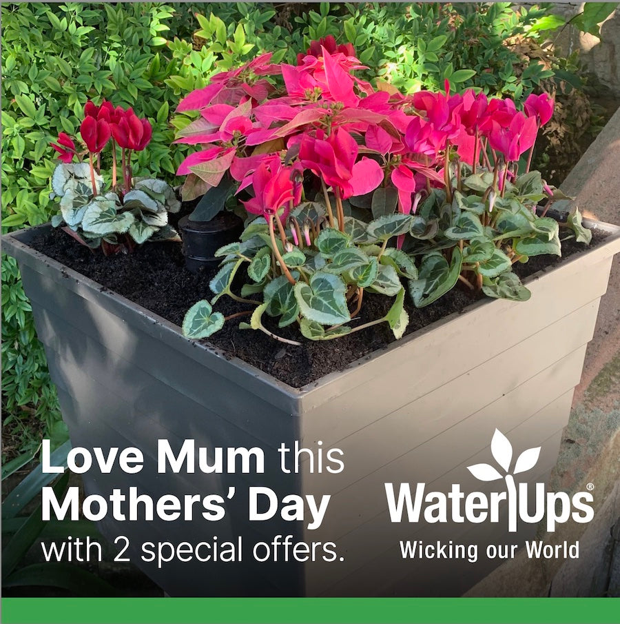 Mothers Day 2023 Main Small