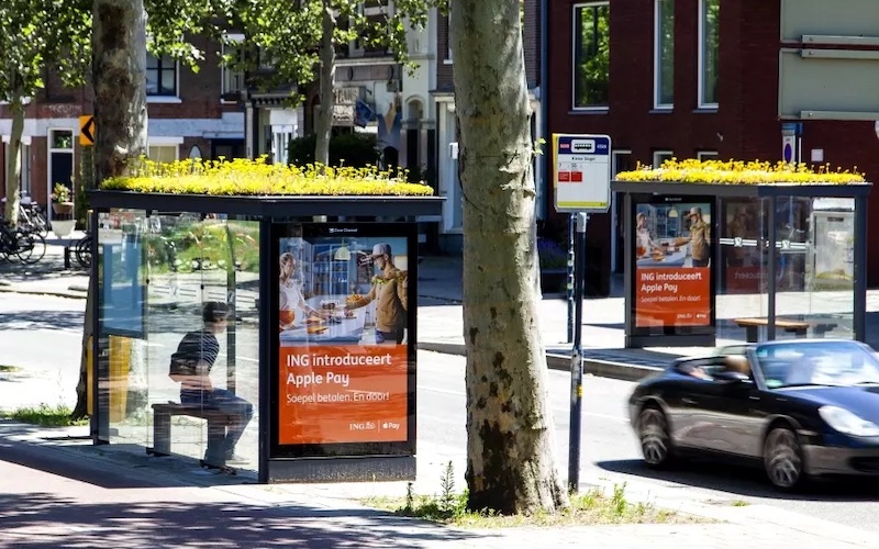 Green bus shelters in The Nethelands, similar to what WaterUps can provide.