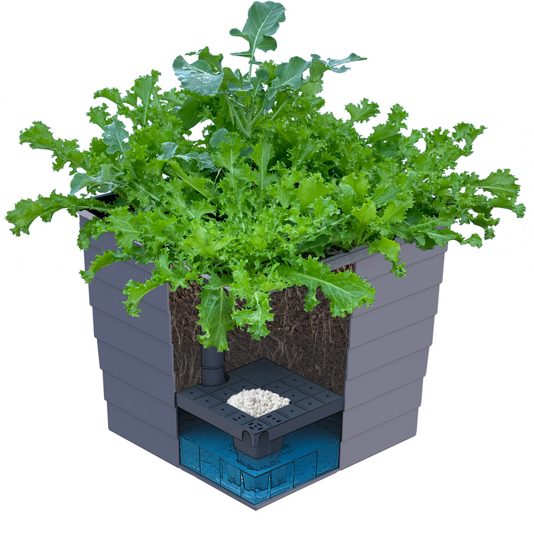 The WaterUps Square Planter is a popular self watering pot