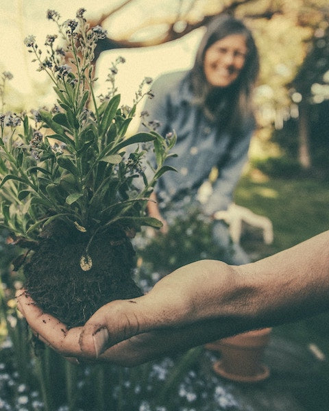 Healing power of gardening_benefit 1 The healing power of gardening benefits include stress reduction and improved happiness