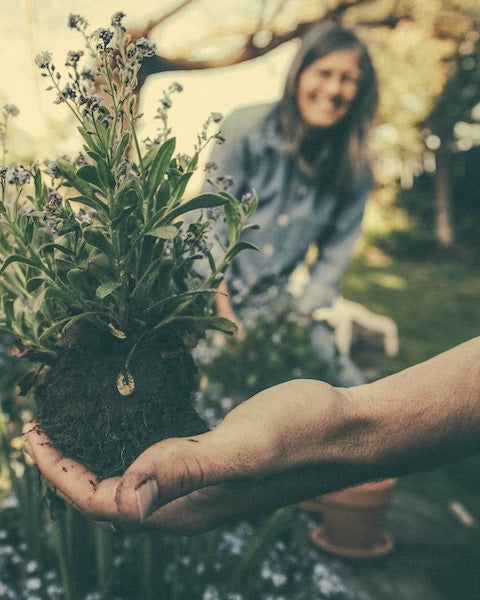 The healing power of gardening benefits include stress reduction and improved happiness