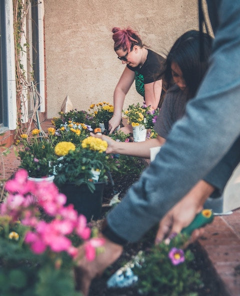 Healing power of gardening_benefit 6