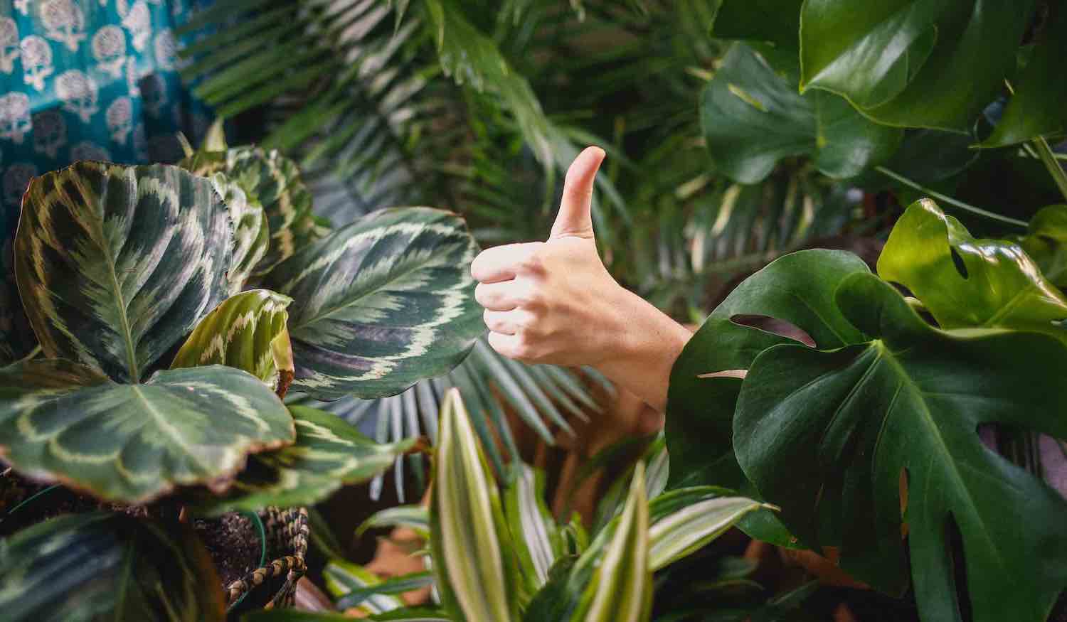 Corporate gardens have many benefits Corporate gardens have many benefits for the individual and the business