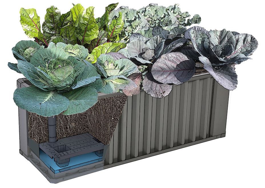 Oasis 1240 CutAway small This self watering pot from WaterUps fcan hold 15 L of water in its reservoir.