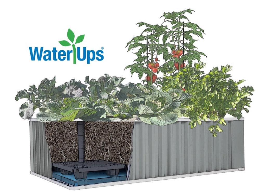WaterUps Oasis 1680 cutaway Logo This self watering pot from WaterUps fcan hold 15 L of water in its reservoir.